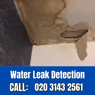 Expert Water Leak Detection Services in Hampstead | Hampstead Leak Detection